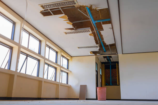 Water damage restoration insurance claims in Columbus, MN