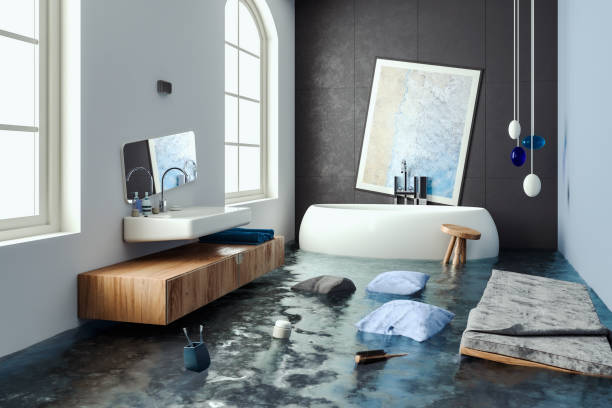 Best Carpet water damage restoration  in Columbus, MN