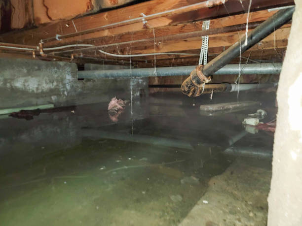  Columbus, MN Water damage restoration Pros