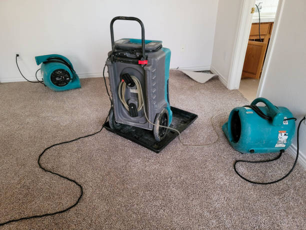 Best Water damage restoration cost  in Columbus, MN