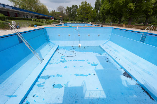 Best Water damage mitigation services  in Columbus, MN