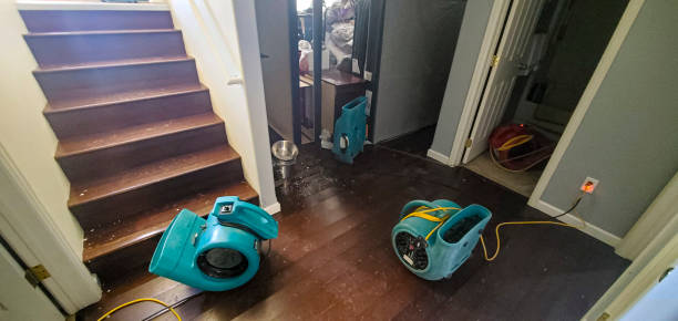 Best Water damage restoration insurance claims  in Columbus, MN