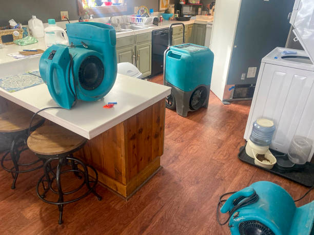 Best Water damage restoration services  in Columbus, MN