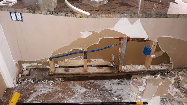 Best Flooded house restoration  in Columbus, MN