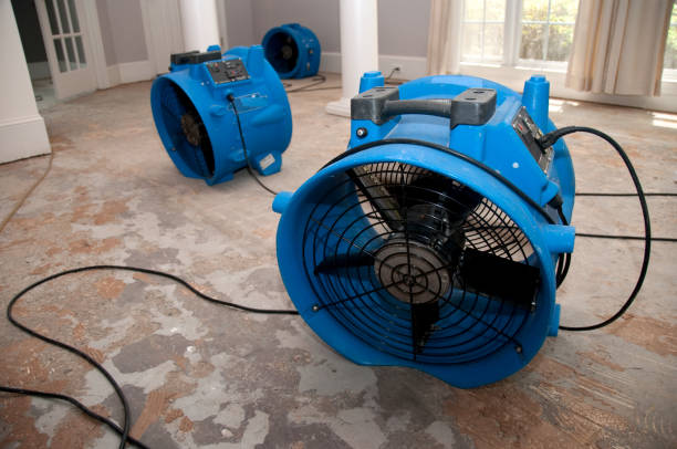 Best Commercial water damage restoration  in Columbus, MN