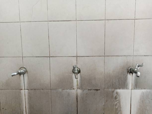 Best Flooded house restoration  in Columbus, MN