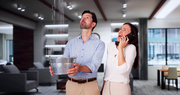 Best Water damage restoration near me  in Columbus, MN