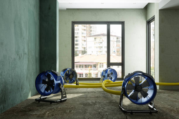 Best 24-hour water damage restoration  in Columbus, MN