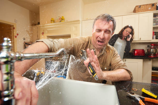 Best Fire Damage Restoration  in Columbus, MN